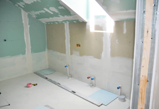 Best Mold Remediation for Healthcare Facilities  in Buckeystown, MD