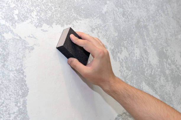 Buckeystown, MD Mold Removal Company