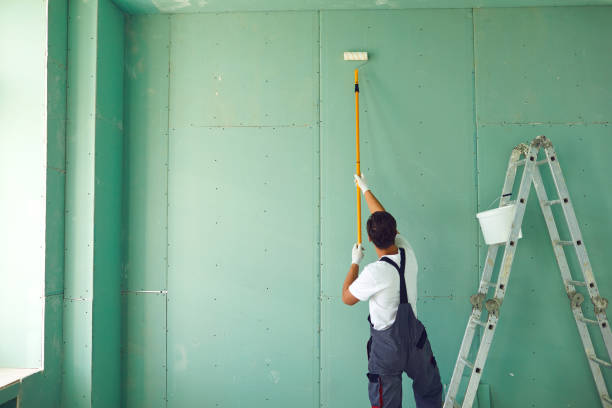 Best Basement Mold Removal  in Buckeystown, MD